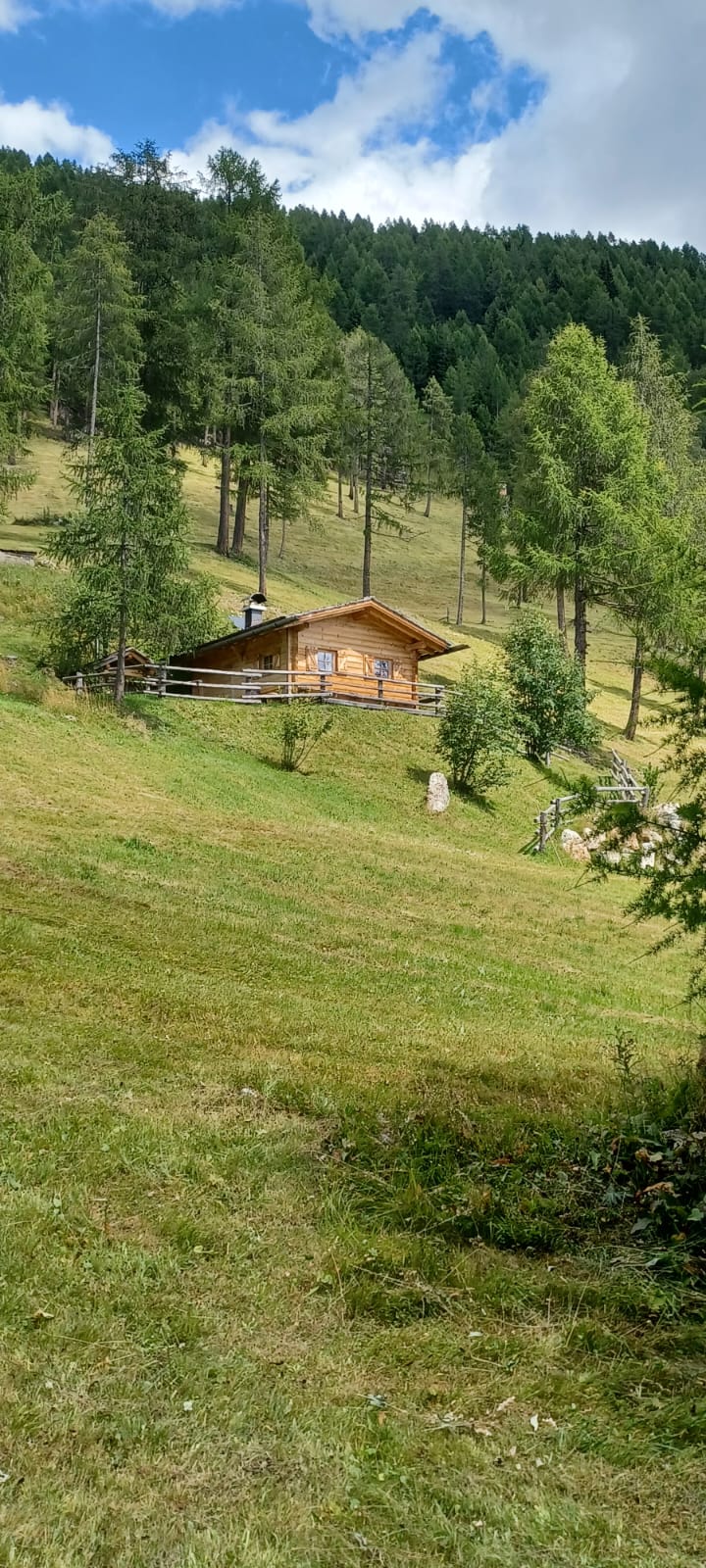 Hofeigene Almhütte mit Grillplatz